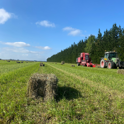 Ashburton baling services working